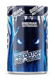 Siberian Nutrogunz PRE-TRAIN NOOTROPIC 225г (Лесные ягоды)